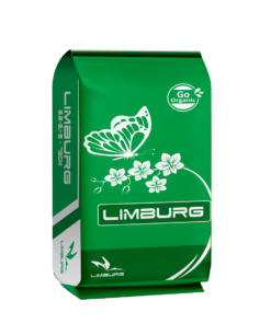Limburg EU Bướm Xanh